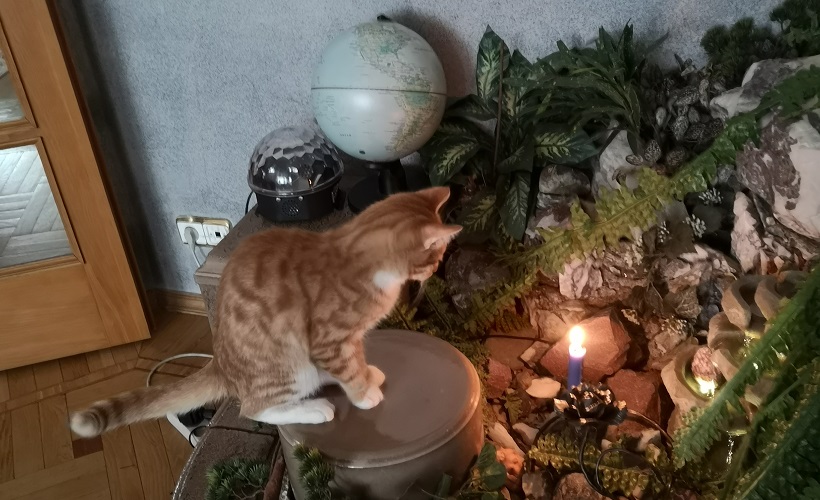 Любимый ушёл, надо вернуть 3