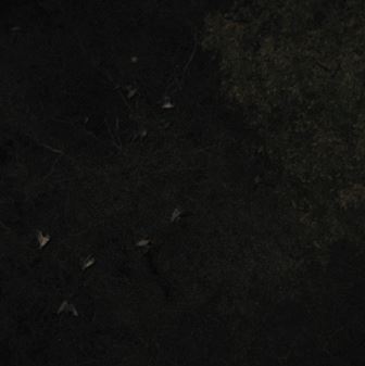 Восстановлению отношений помогает черная магия, госпожа Ната Восстановлению отношений помогает черная магия