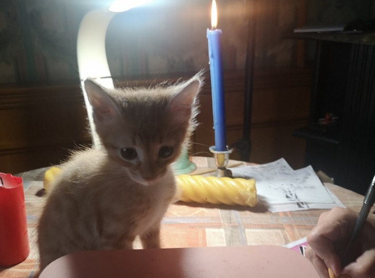 В поисках услуг нужно думать головой, госпожа Ната В поисках услуг нужно думать головой