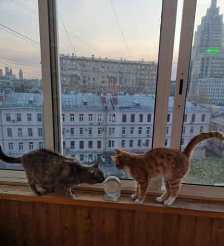 Возвращать ли любовь?, госпожа Ната Возвращать ли любовь?