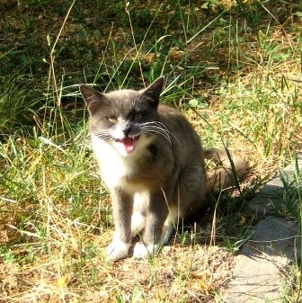 Можно самому себе сделать сглаз., госпожа Ната Можно самому себе сделать сглаз.